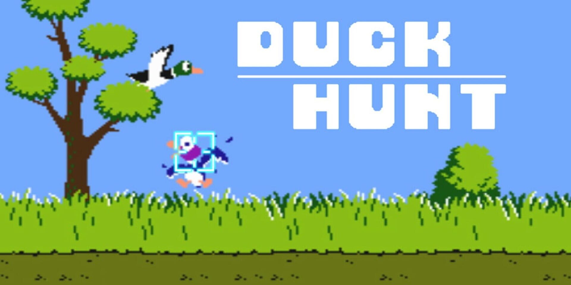 Foto do jogo Duck Hunt