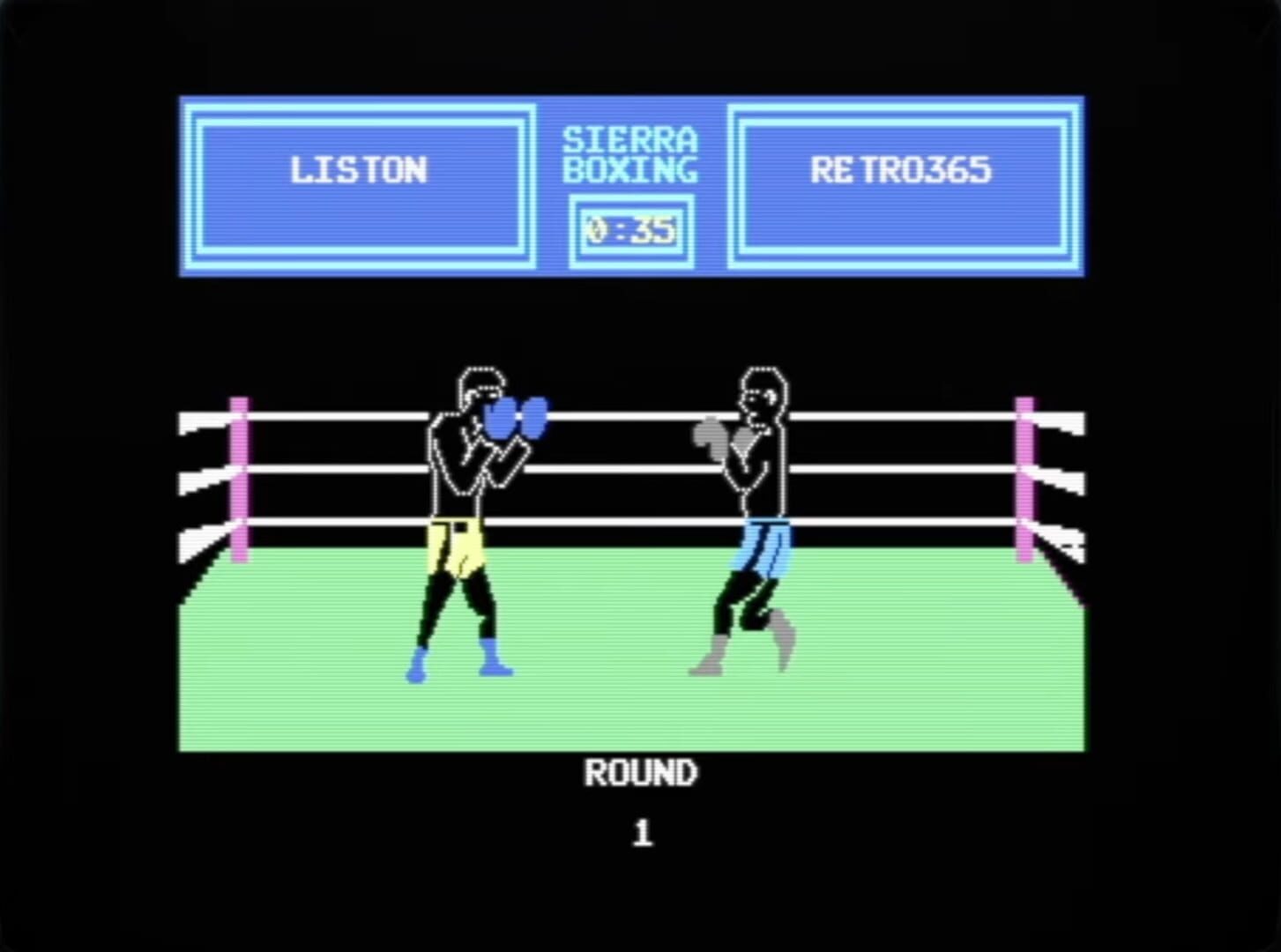 Foto do jogo Sierra Championship Boxing