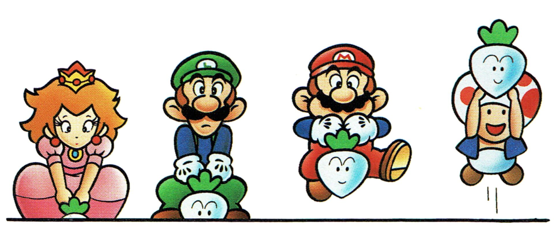 Foto do jogo Super Mario Bros. 2