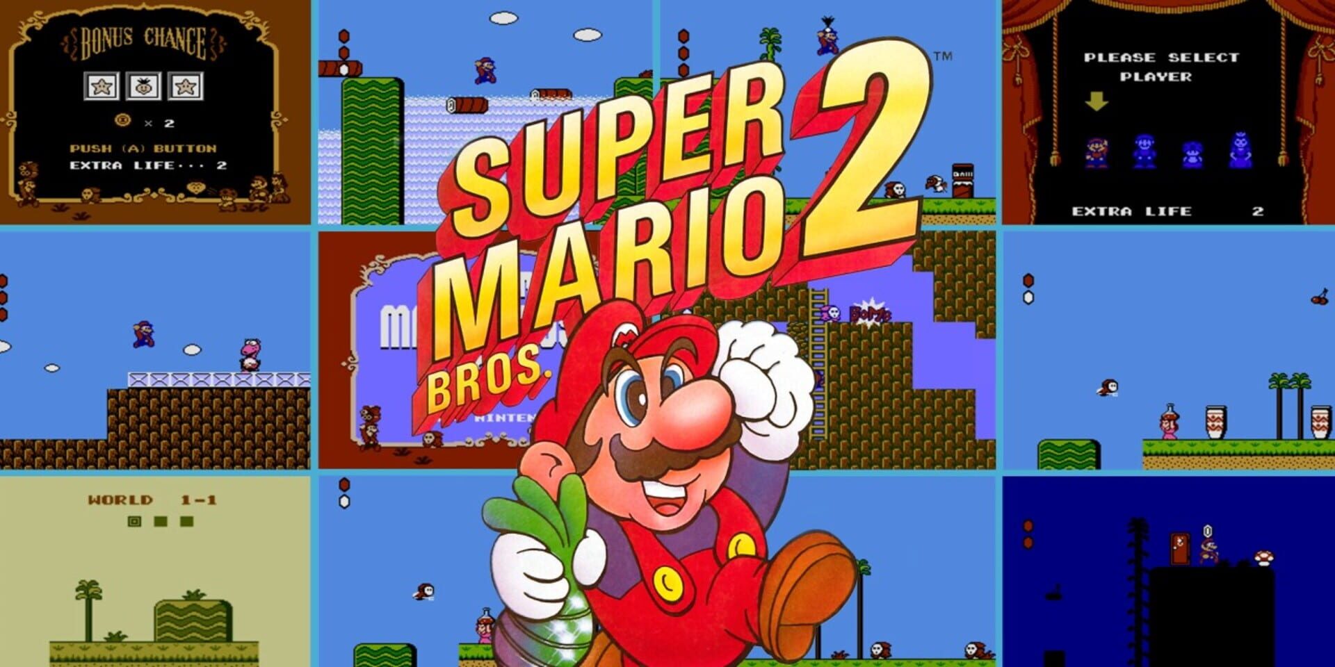 Foto do jogo Super Mario Bros. 2