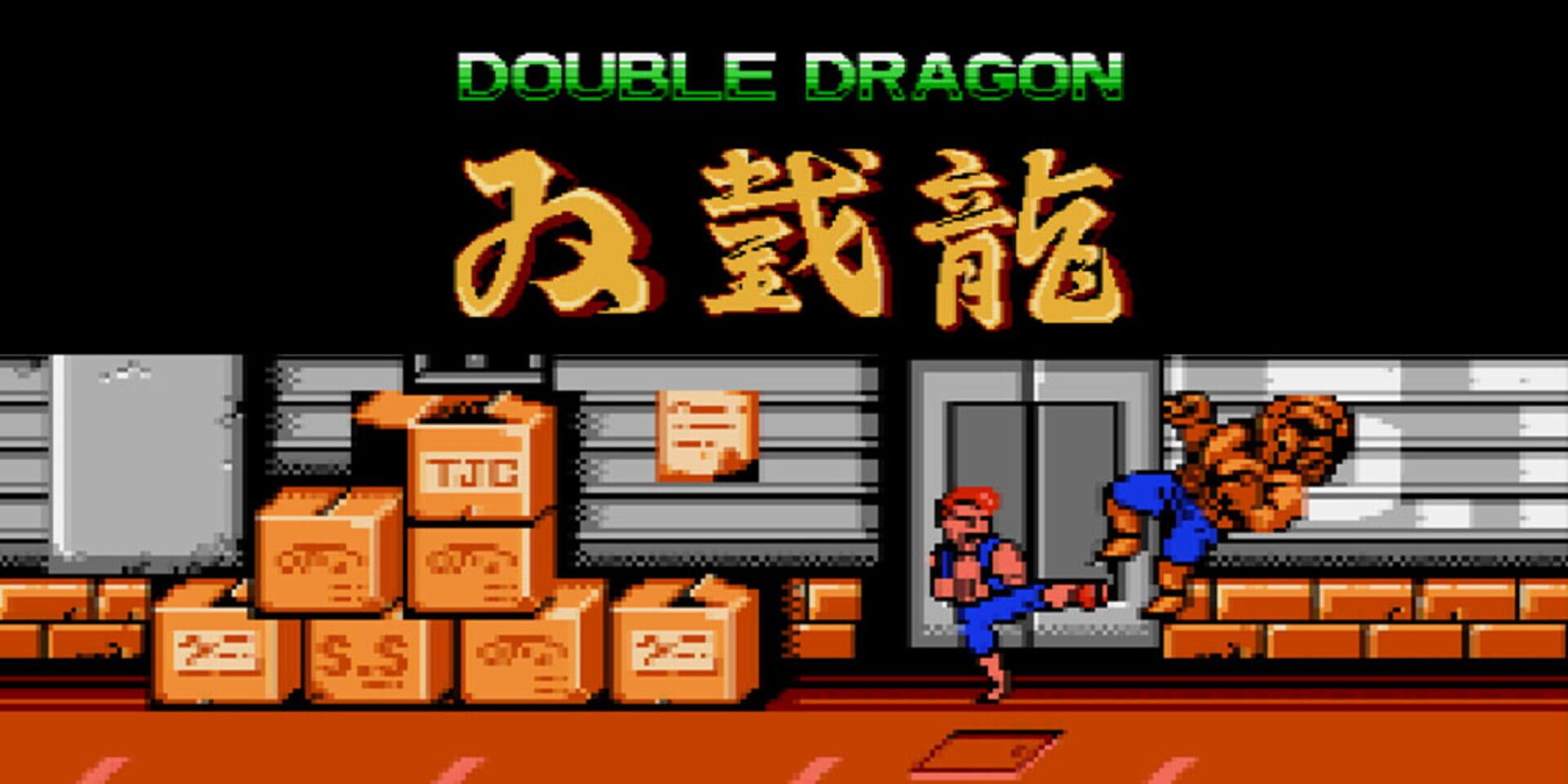 Foto do jogo Double Dragon
