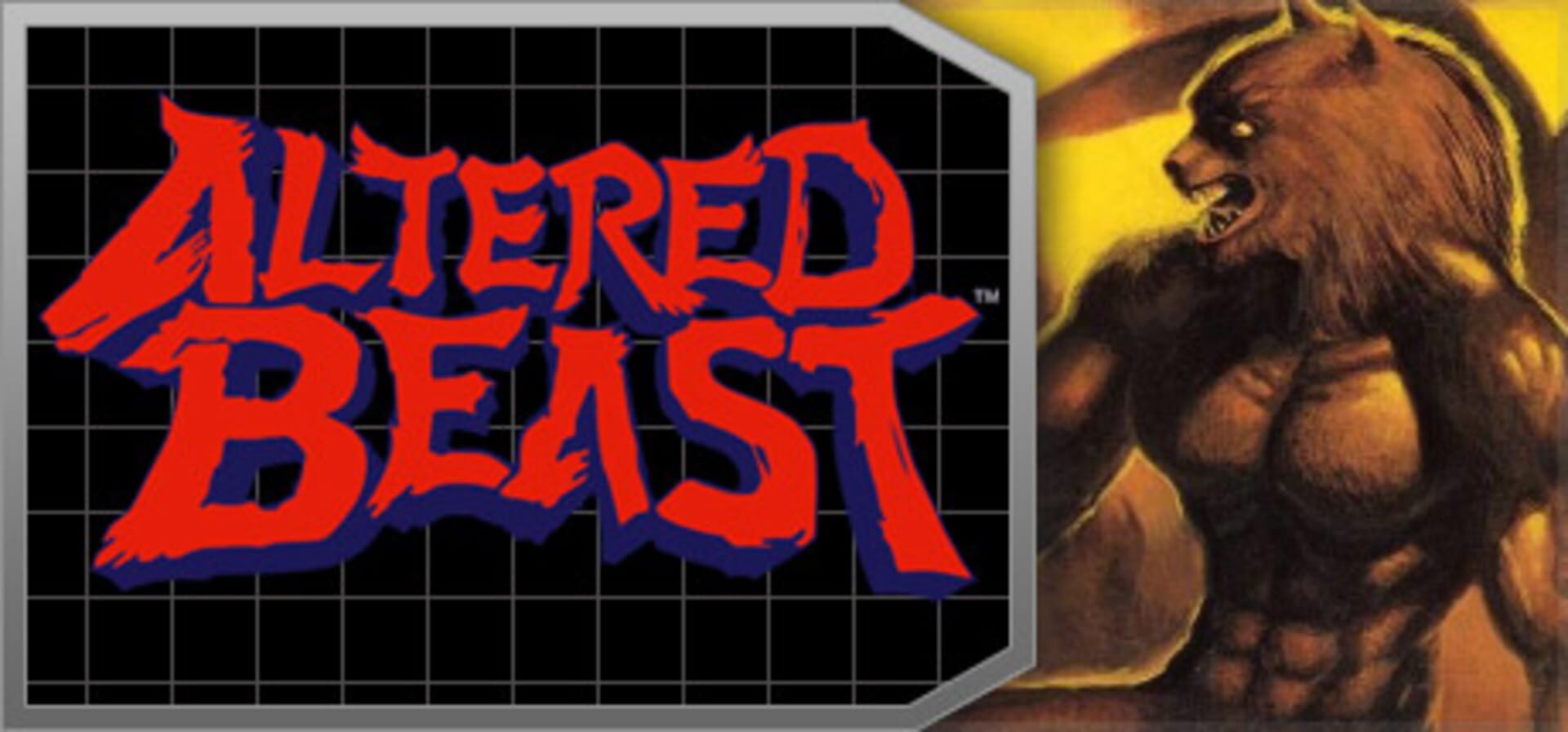 Foto do jogo Altered Beast