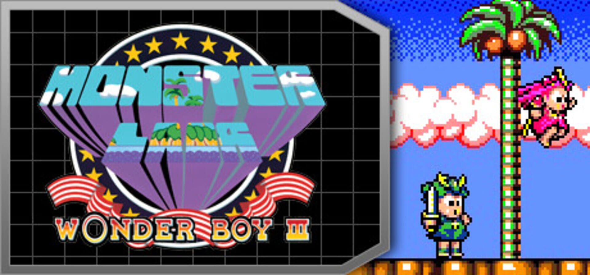 Foto do jogo Wonder Boy III: Monster Lair