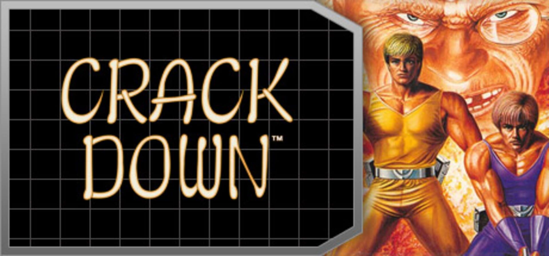 Foto do jogo Crack Down