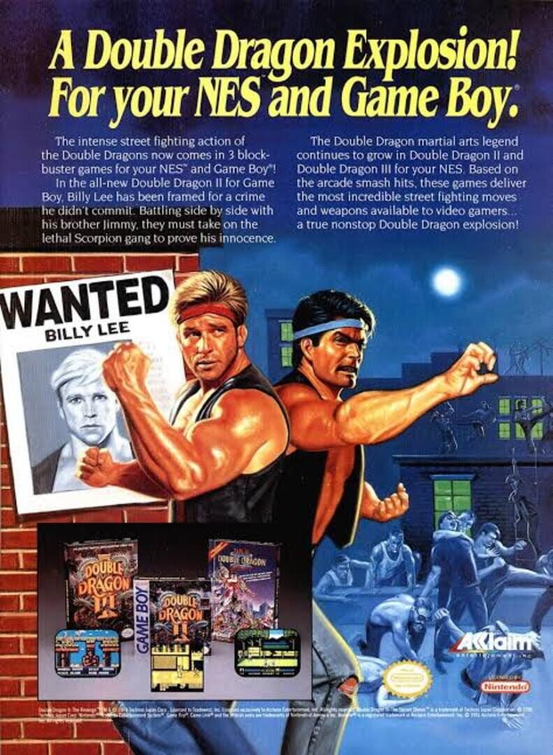 Foto do jogo Double Dragon II: The Revenge