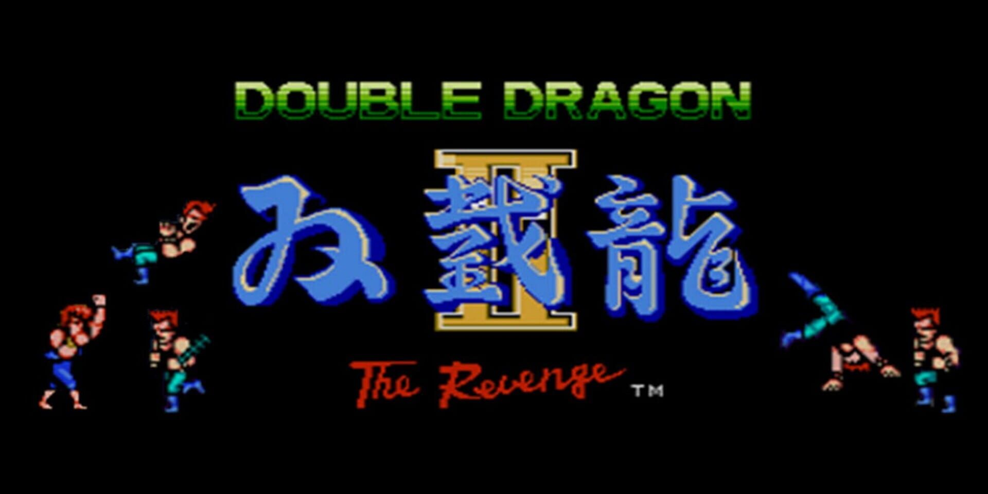 Foto do jogo Double Dragon II: The Revenge