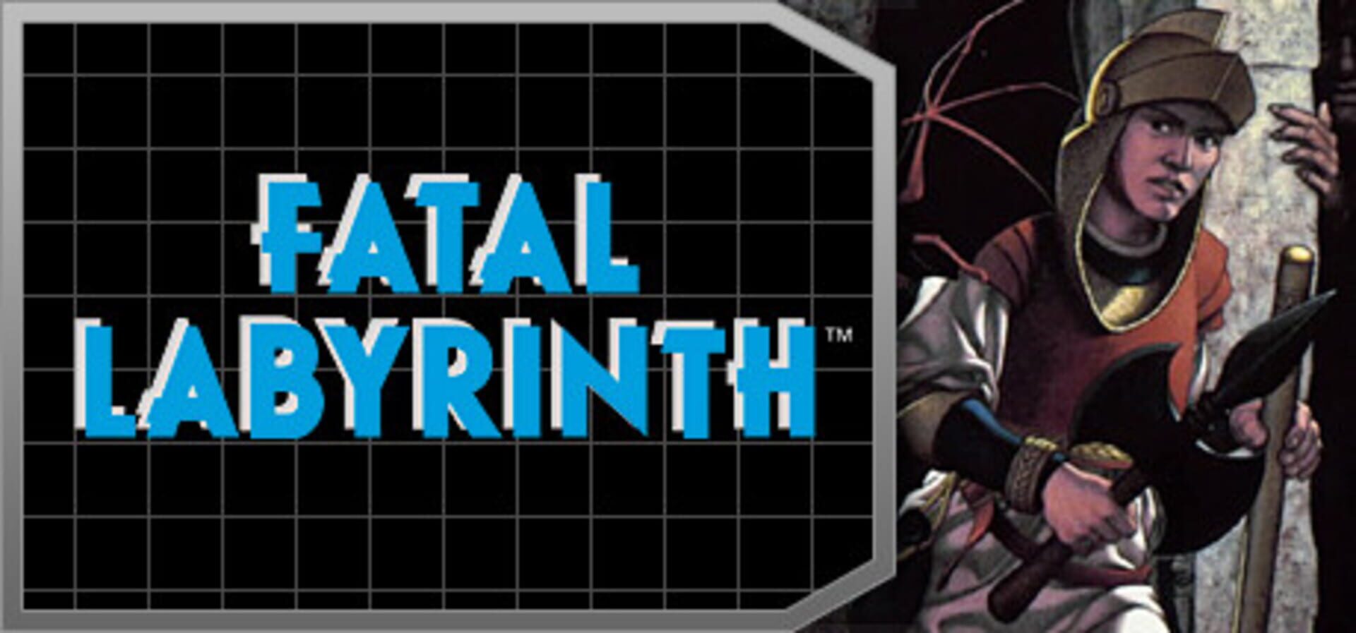 Foto do jogo Fatal Labyrinth