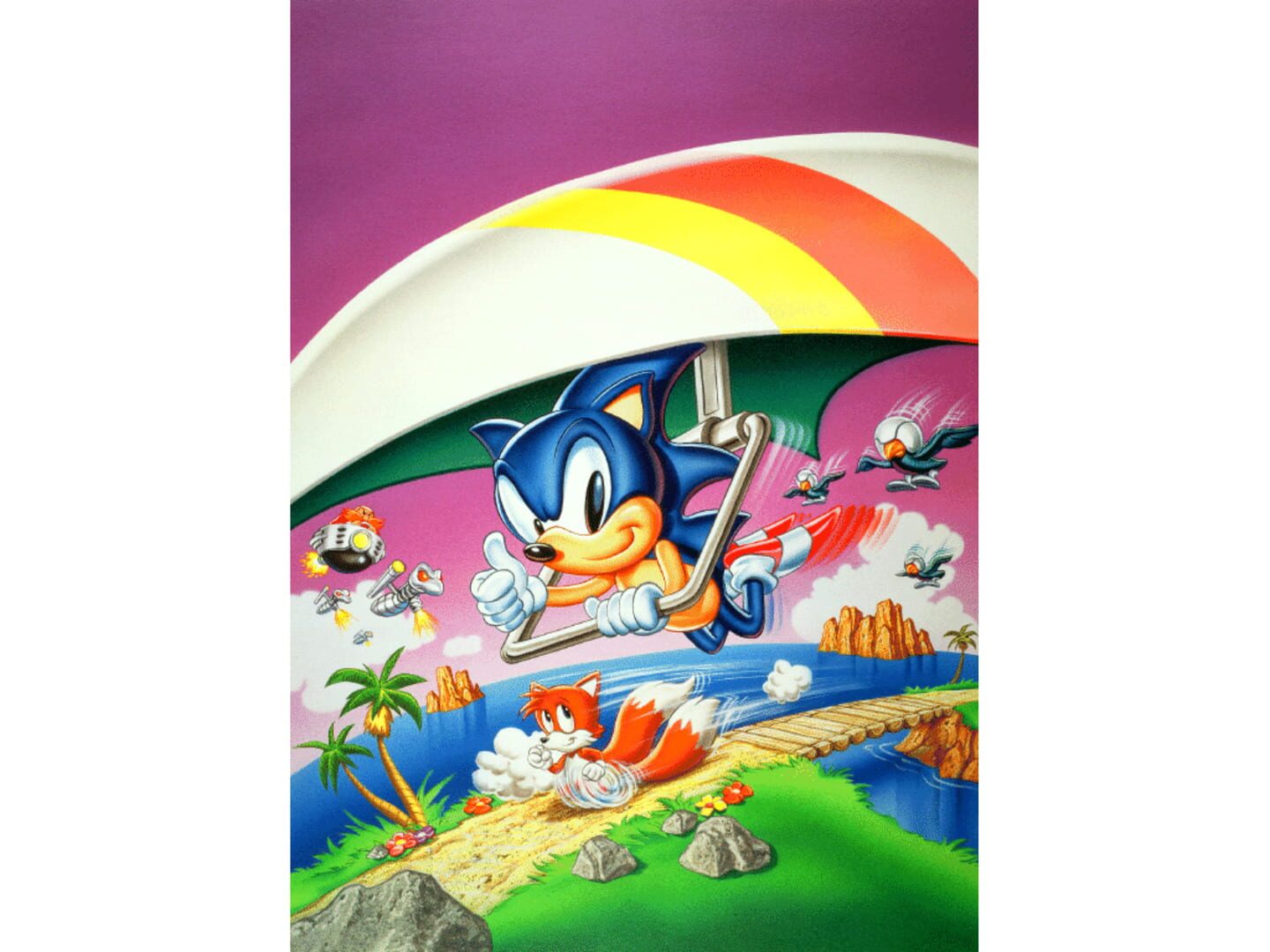Foto do jogo Sonic the Hedgehog 2