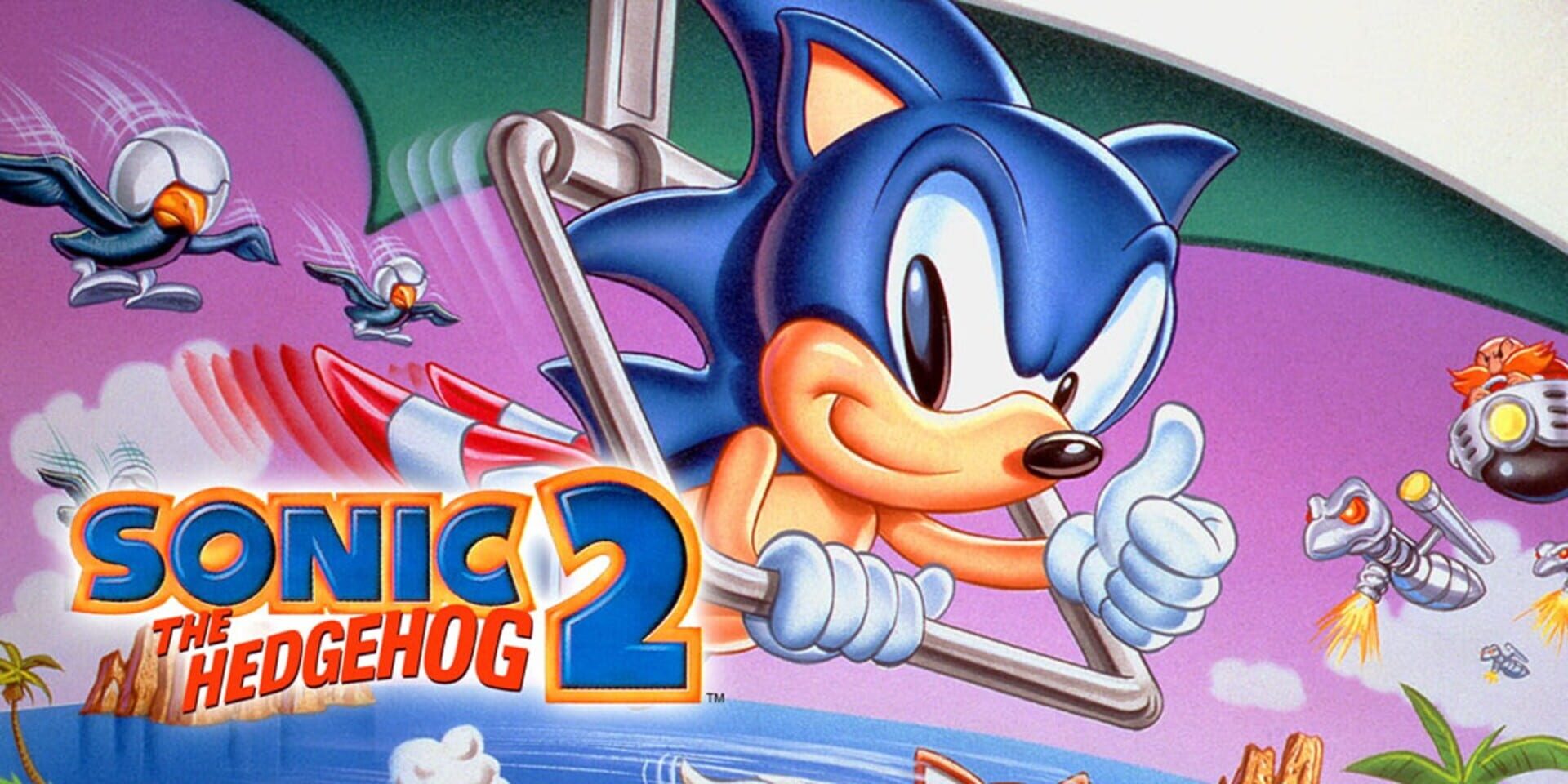 Foto do jogo Sonic the Hedgehog 2