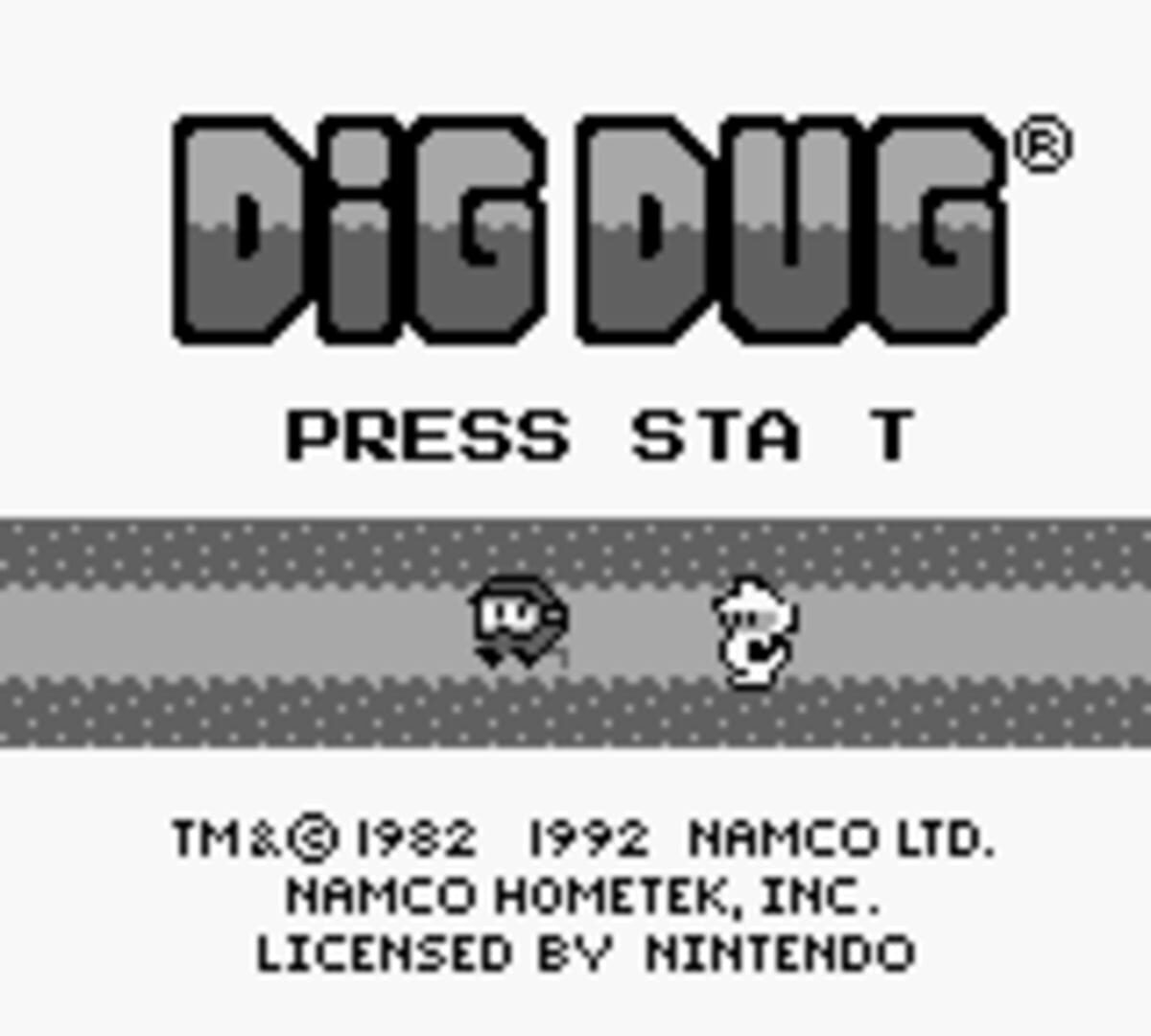 Foto do jogo Dig Dug