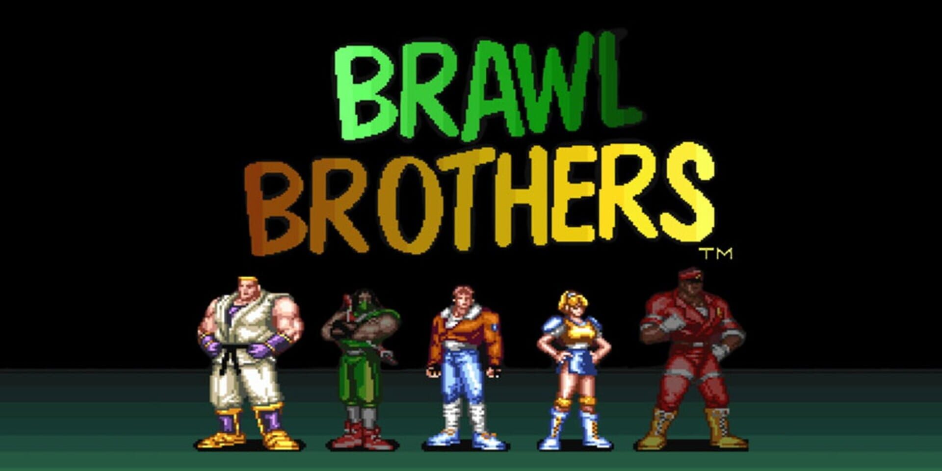 Foto do jogo Brawl Brothers