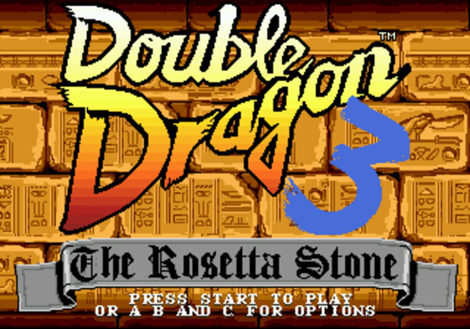 Foto do jogo Double Dragon 3: The Arcade Game