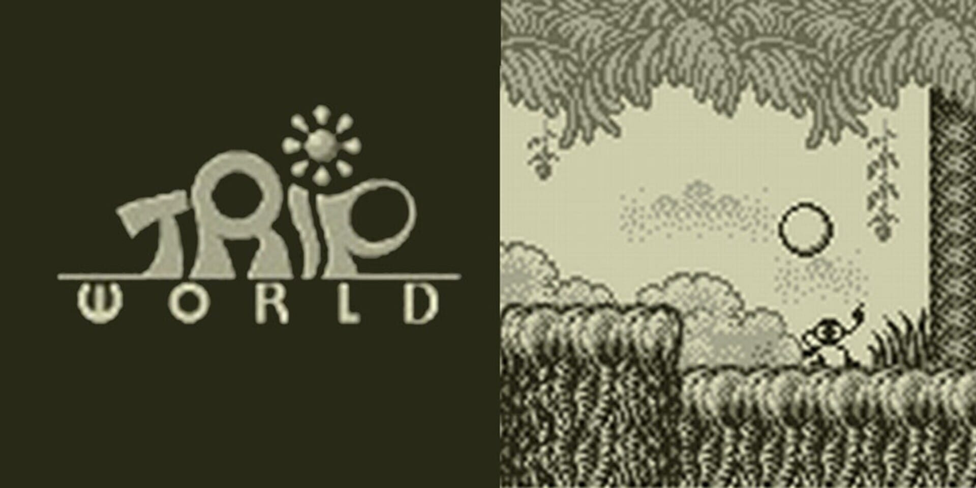 Foto do jogo Trip World