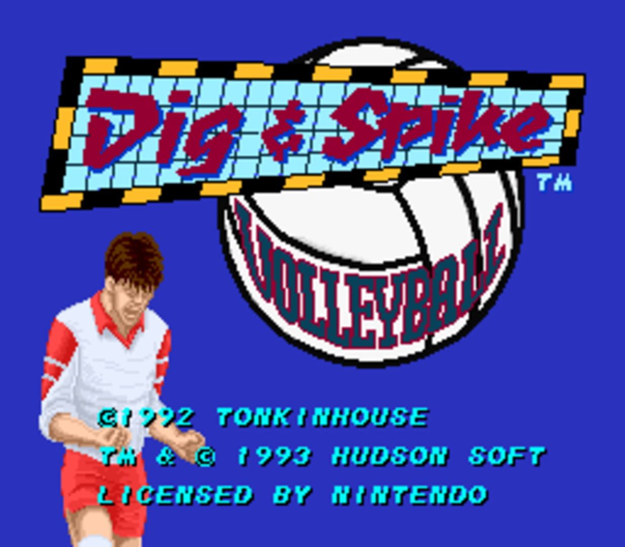Foto do jogo Dig & Spike Volleyball