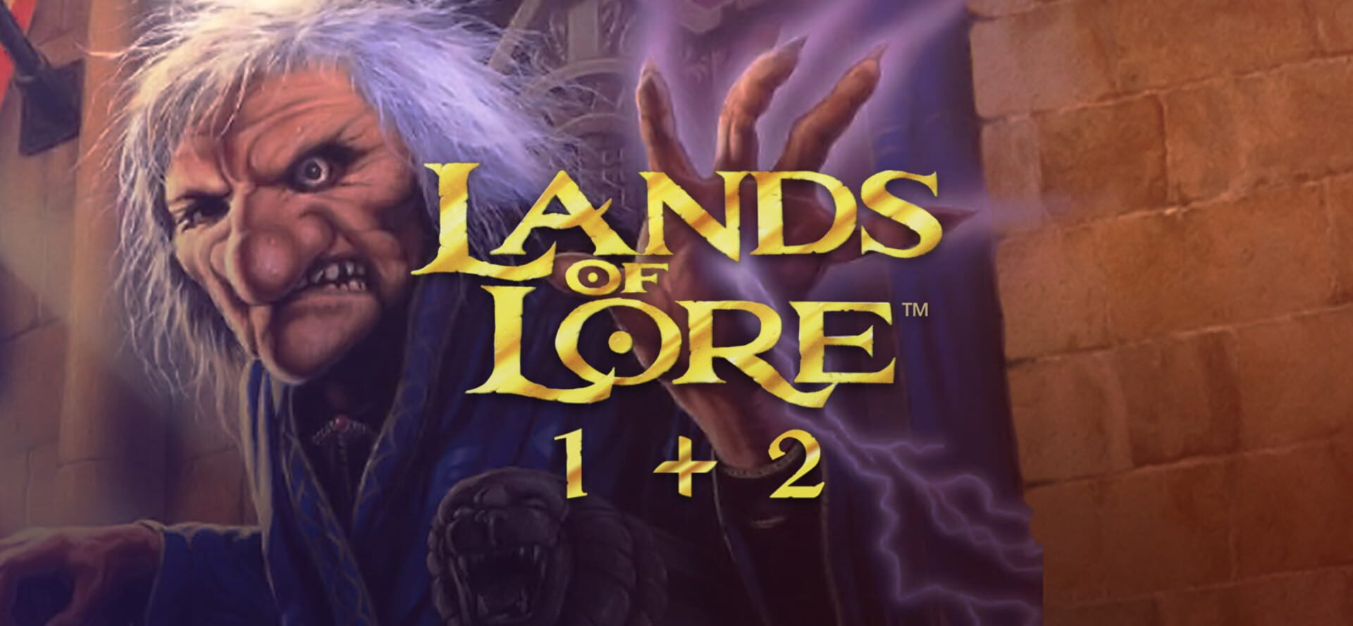 Foto do jogo Lands of Lore 1+2