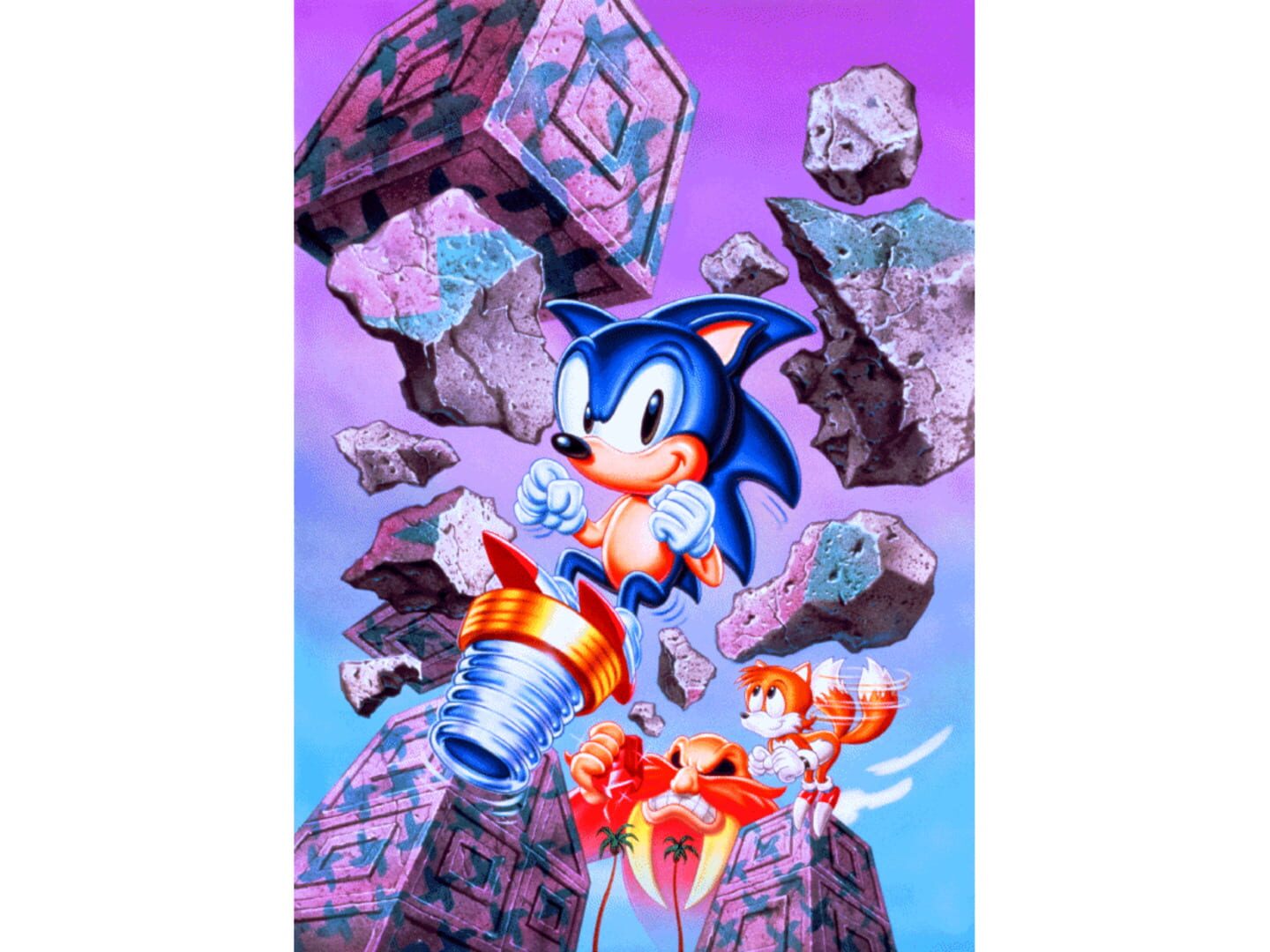 Foto do jogo Sonic the Hedgehog Chaos