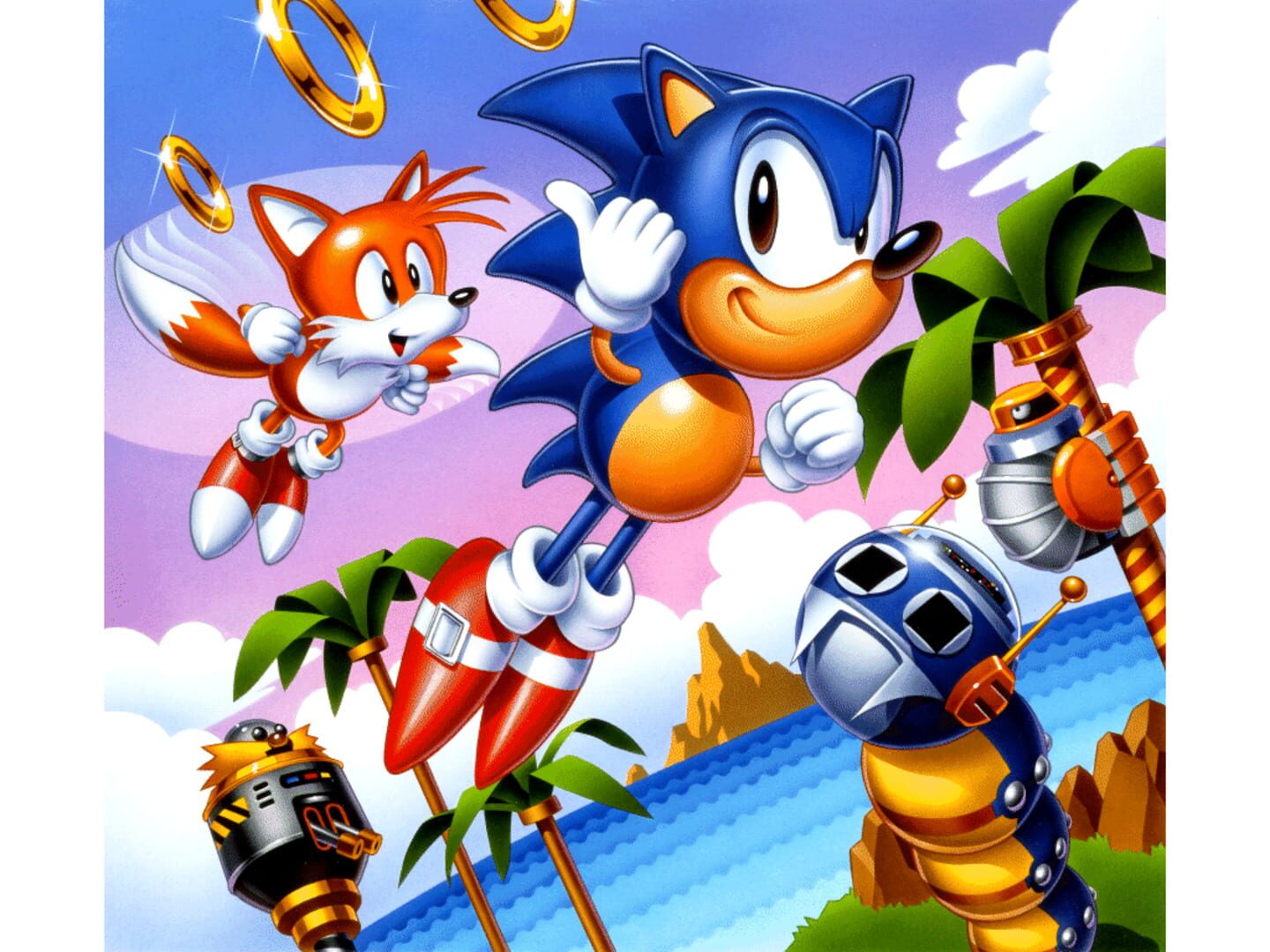 Foto do jogo Sonic the Hedgehog Chaos