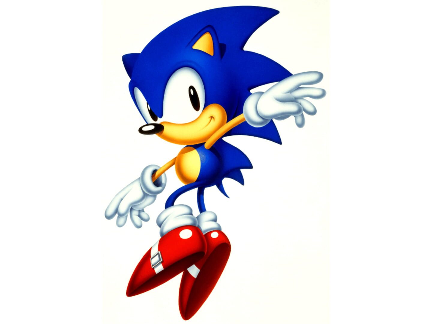 Foto do jogo Sonic the Hedgehog Chaos