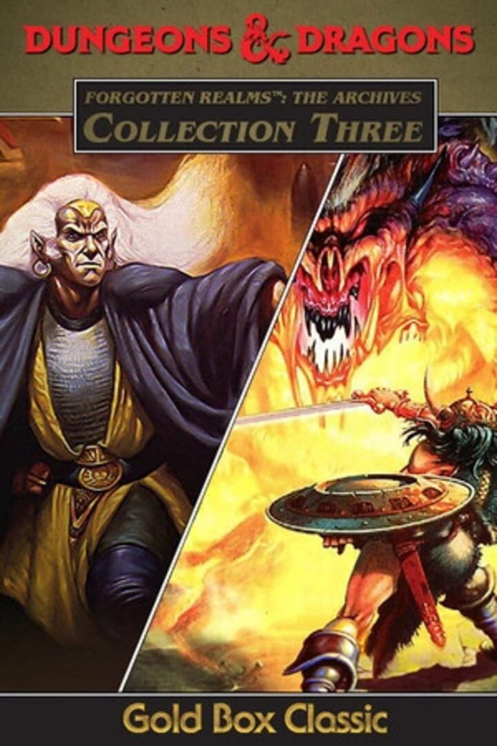 Foto do jogo Forgotten Realms: The Archives - Collection Three
