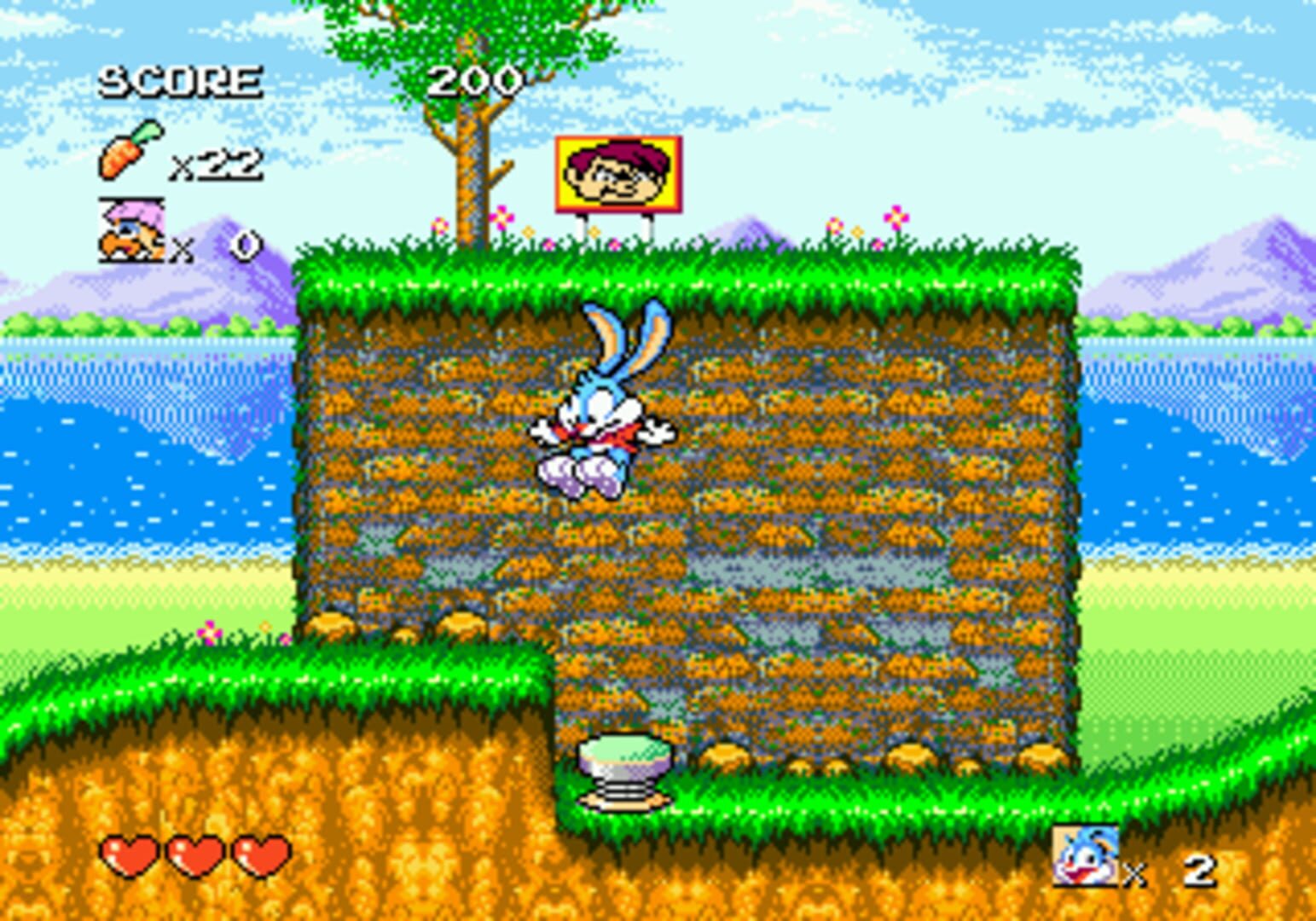 Foto do jogo Tiny Toon Adventures: Buster's Hidden Treasure