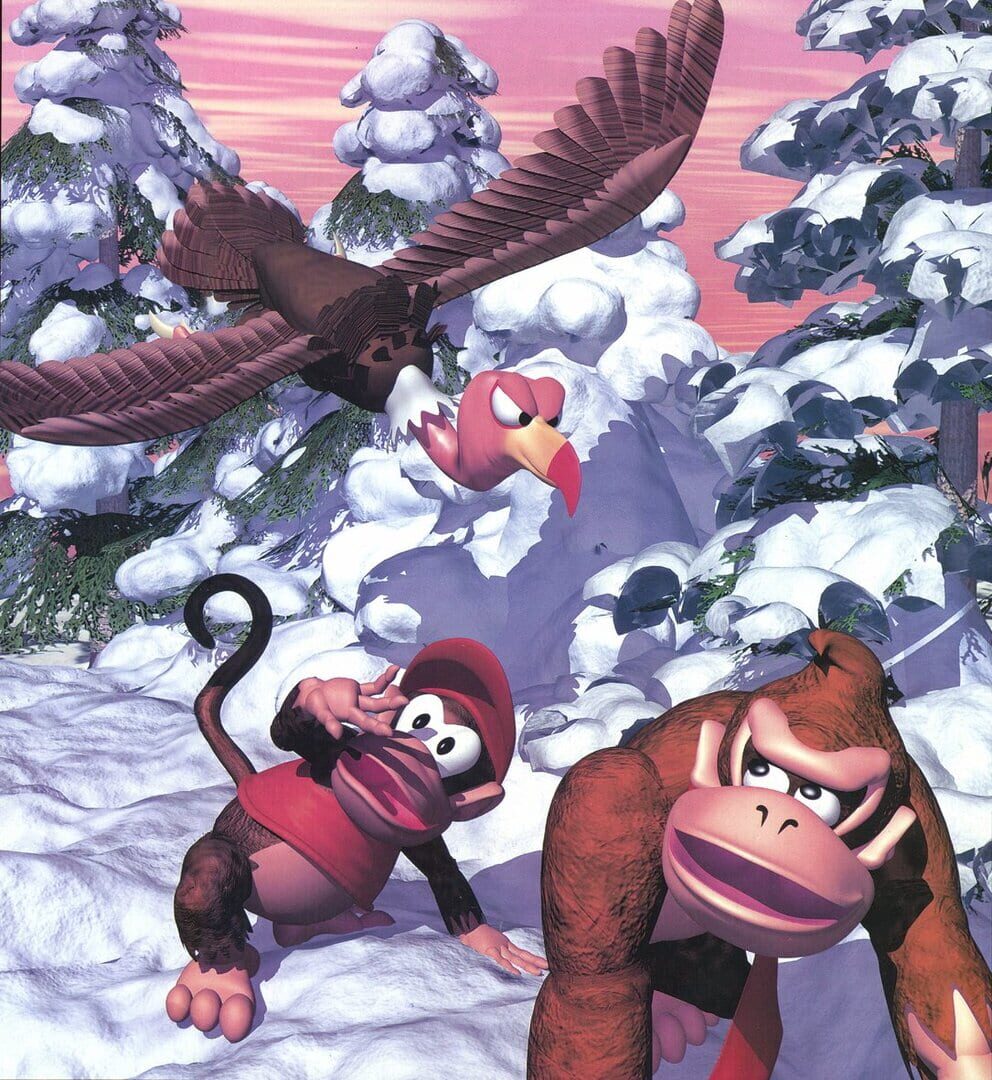 Foto do jogo Donkey Kong Country
