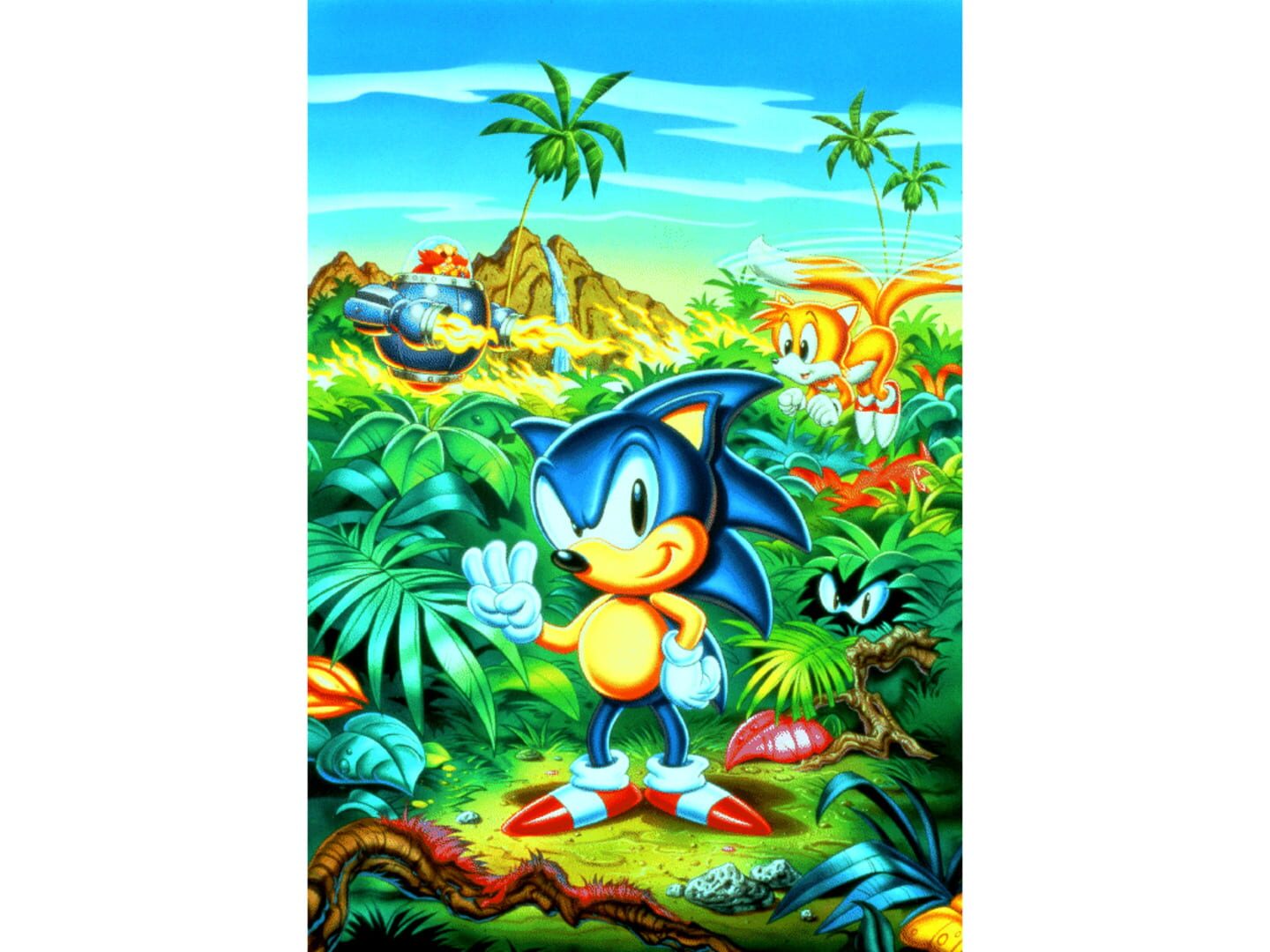 Foto do jogo Sonic the Hedgehog 3 & Knuckles