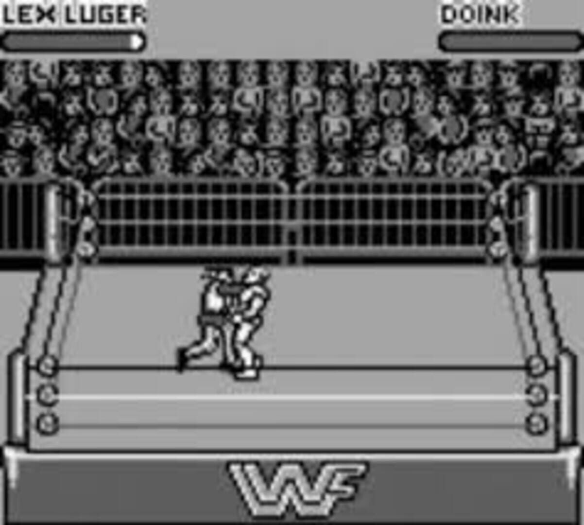 Foto do jogo WWF Raw
