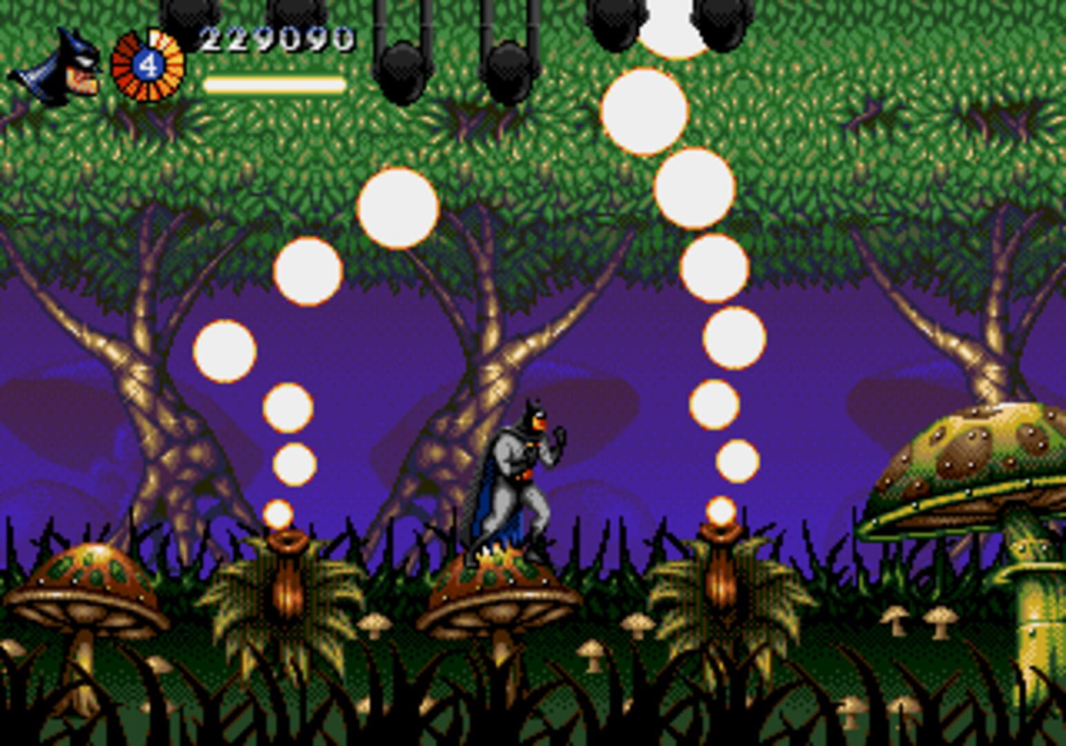 Foto do jogo The Adventures of Batman & Robin