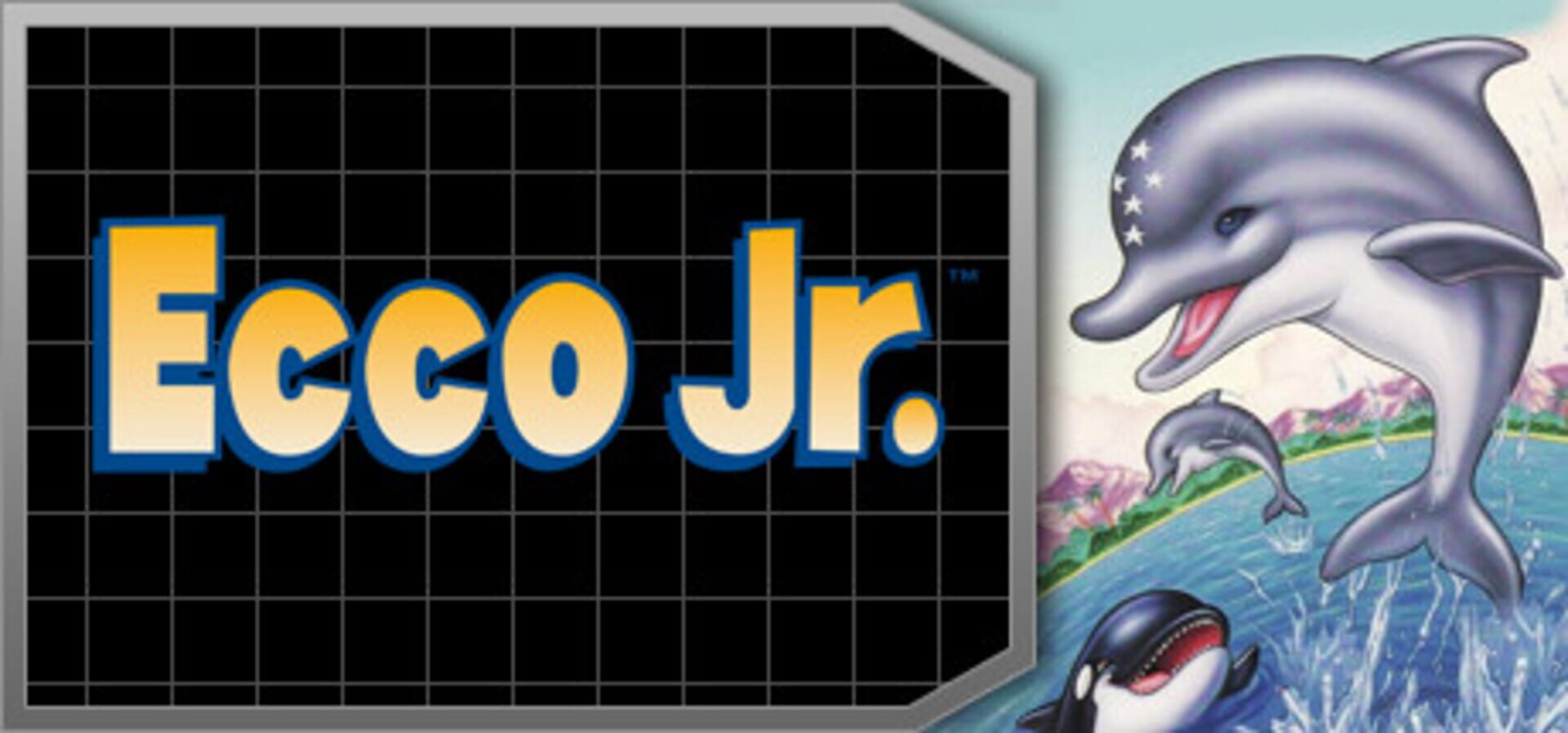 Foto do jogo Ecco Jr.