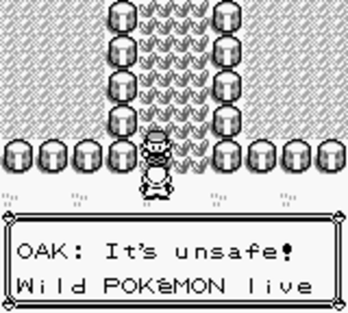 Foto do jogo Pokémon Red Version