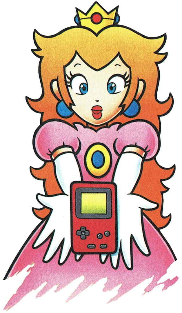 Foto do jogo Game & Watch Gallery