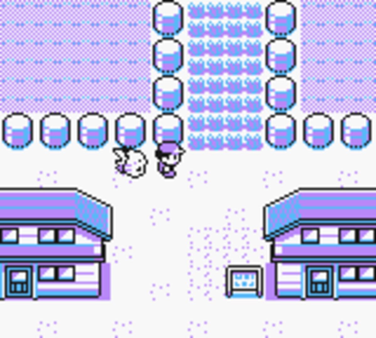 Foto do jogo Pokémon Yellow Version: Special Pikachu Edition