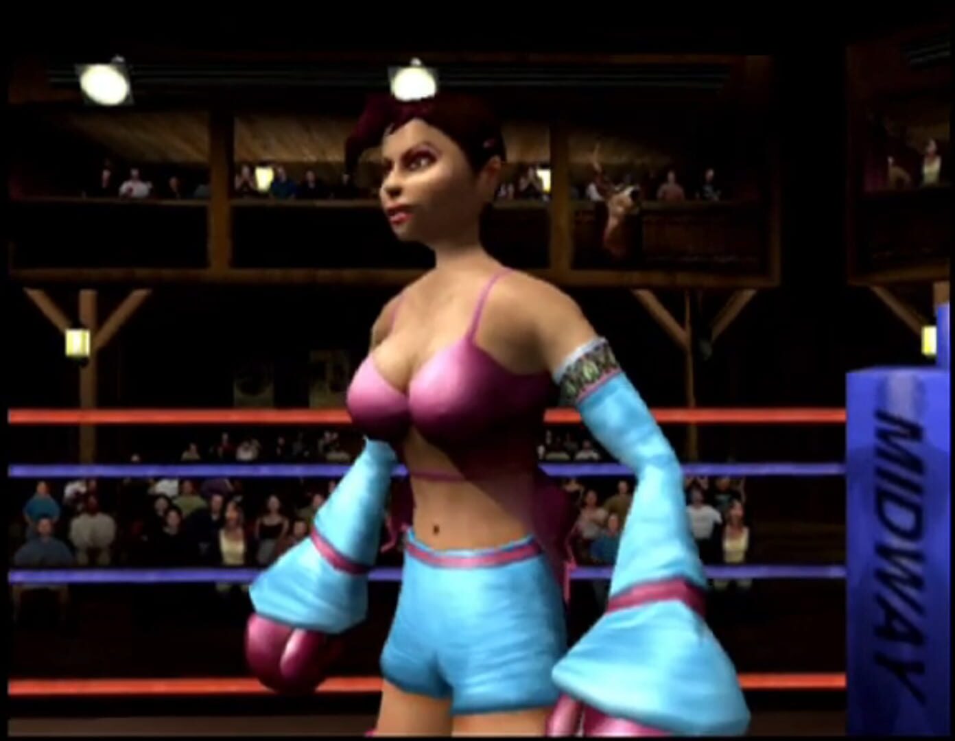 Foto do jogo Ready 2 Rumble Boxing: Round 2