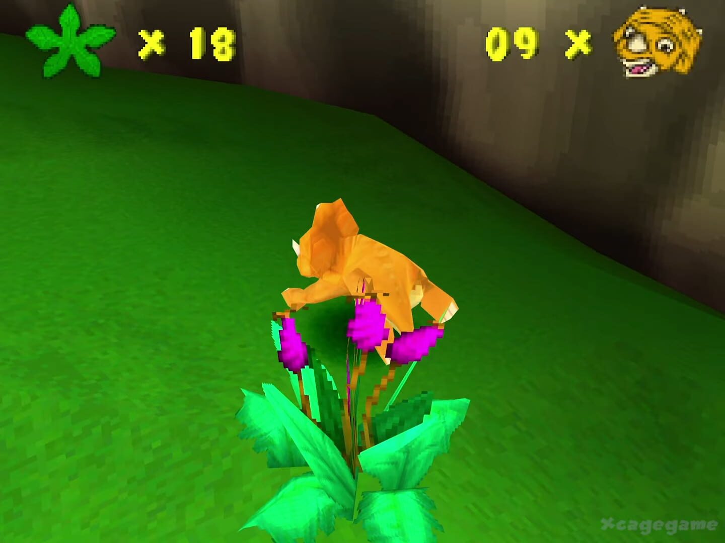 Foto do jogo The Land Before Time: Return to the Great Valley