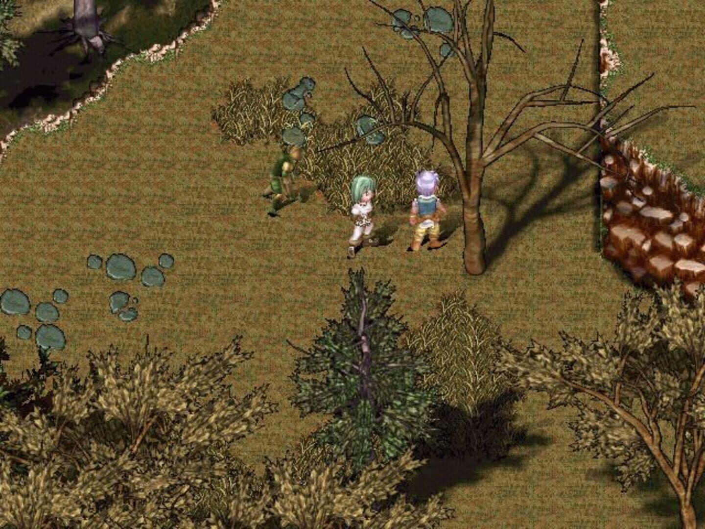 Foto do jogo Seal: Travelers of Destiny