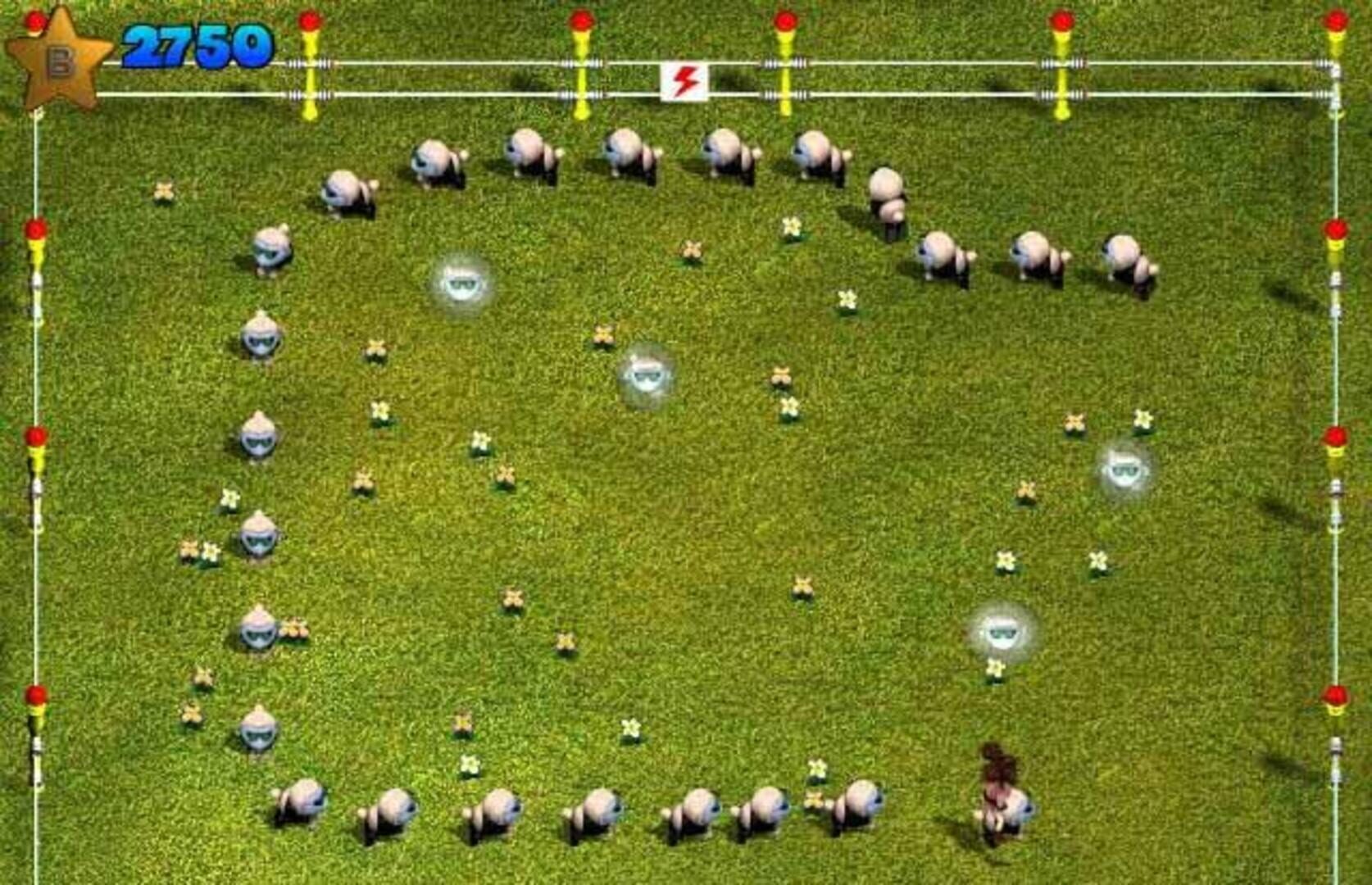 Foto do jogo Sheep