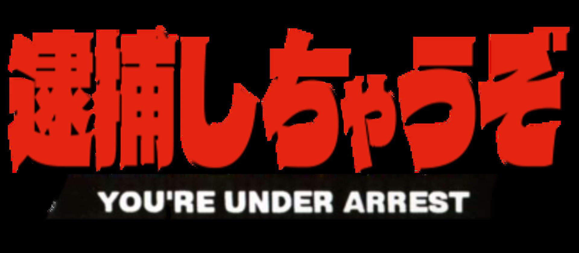 Foto do jogo You're Under Arrest