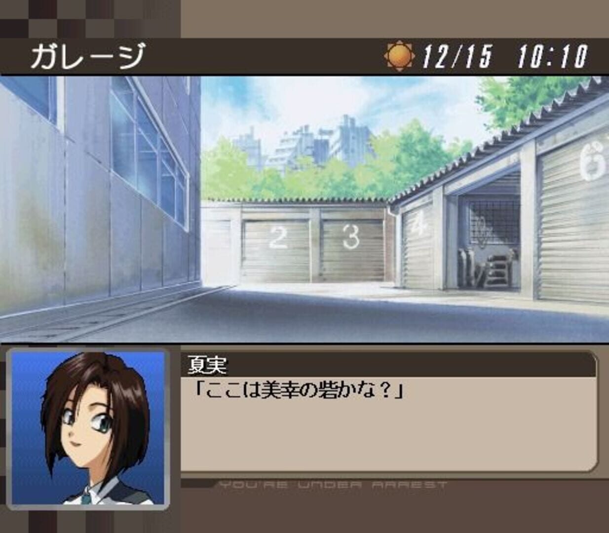 Foto do jogo You're Under Arrest