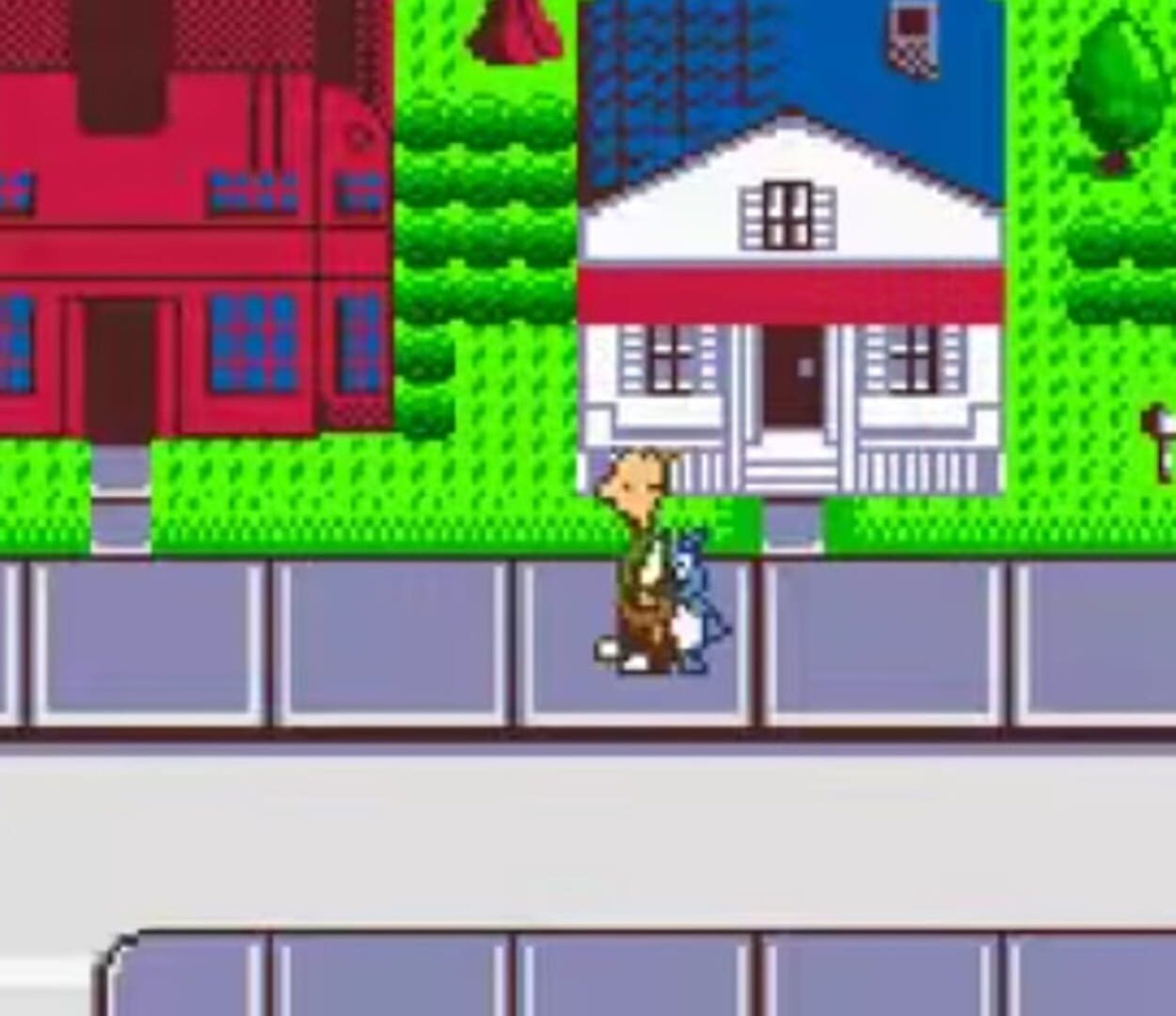 Foto do jogo Disney's Doug: Doug's Big Game