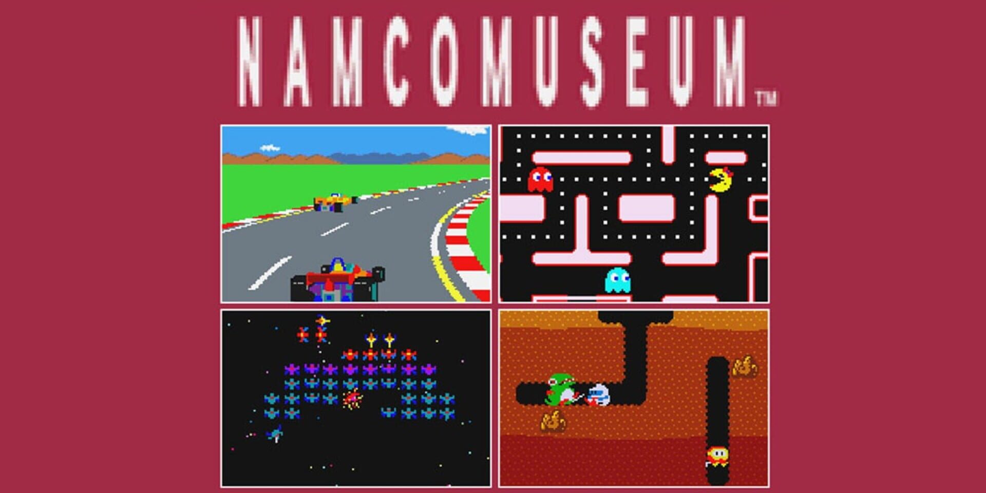 Foto do jogo Namco Museum