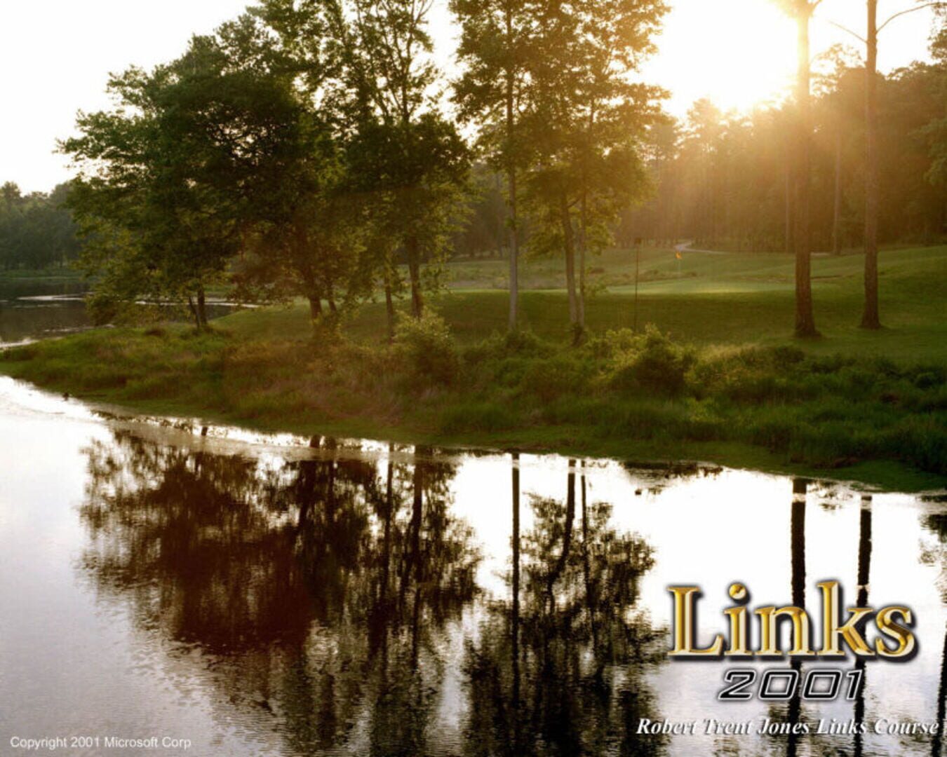 Foto do jogo Links Expansion Pack