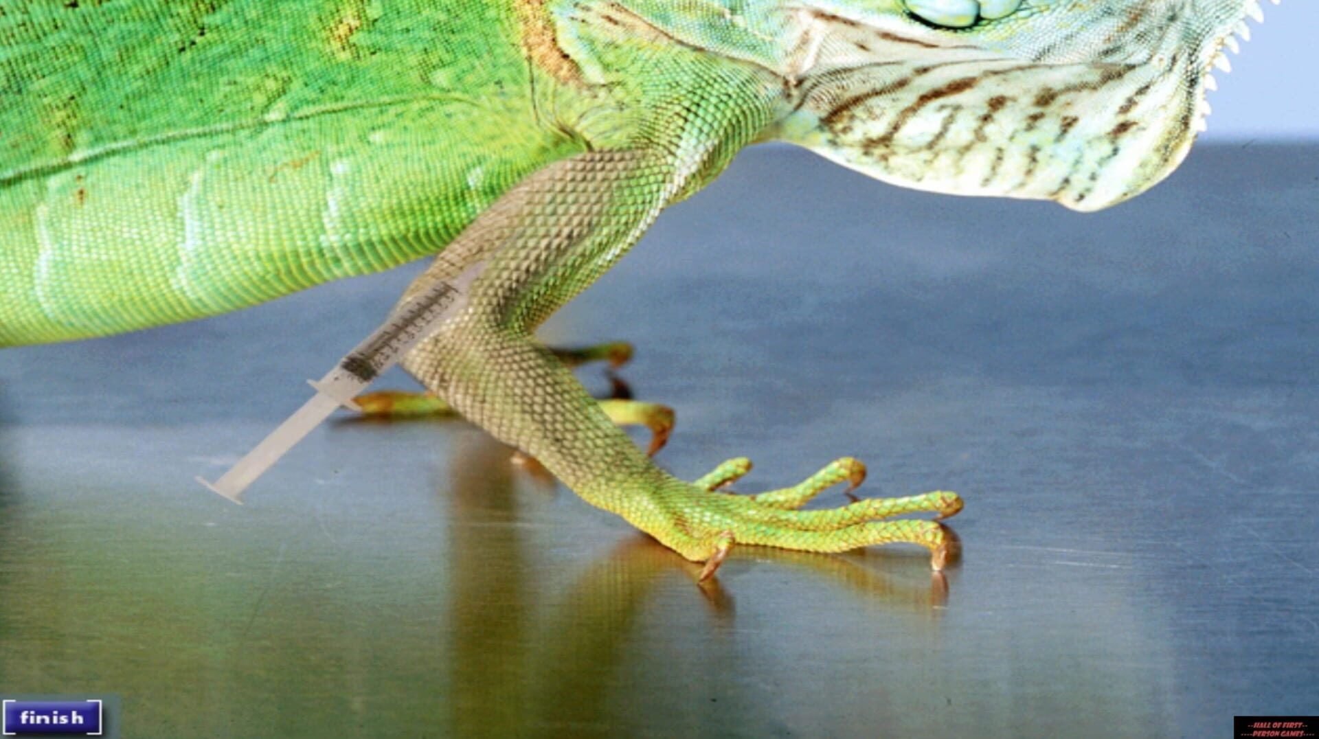 Foto do jogo Vet Emergency