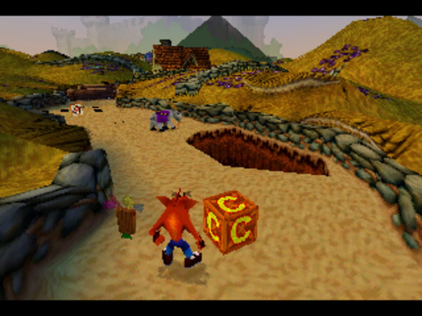 Foto do jogo Crash Bandicoot Collectors' Edition