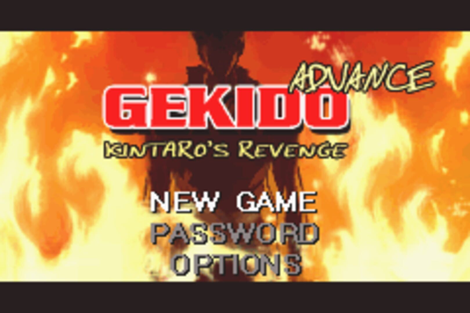 Foto do jogo Gekido Advance: Kintaro's Revenge