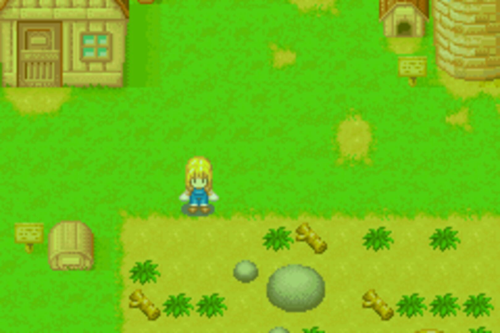 Foto do jogo Harvest Moon: More Friends of Mineral Town