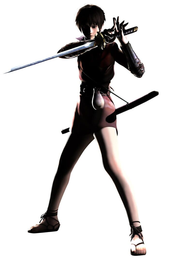 Foto do jogo Tenchu: Fatal Shadows