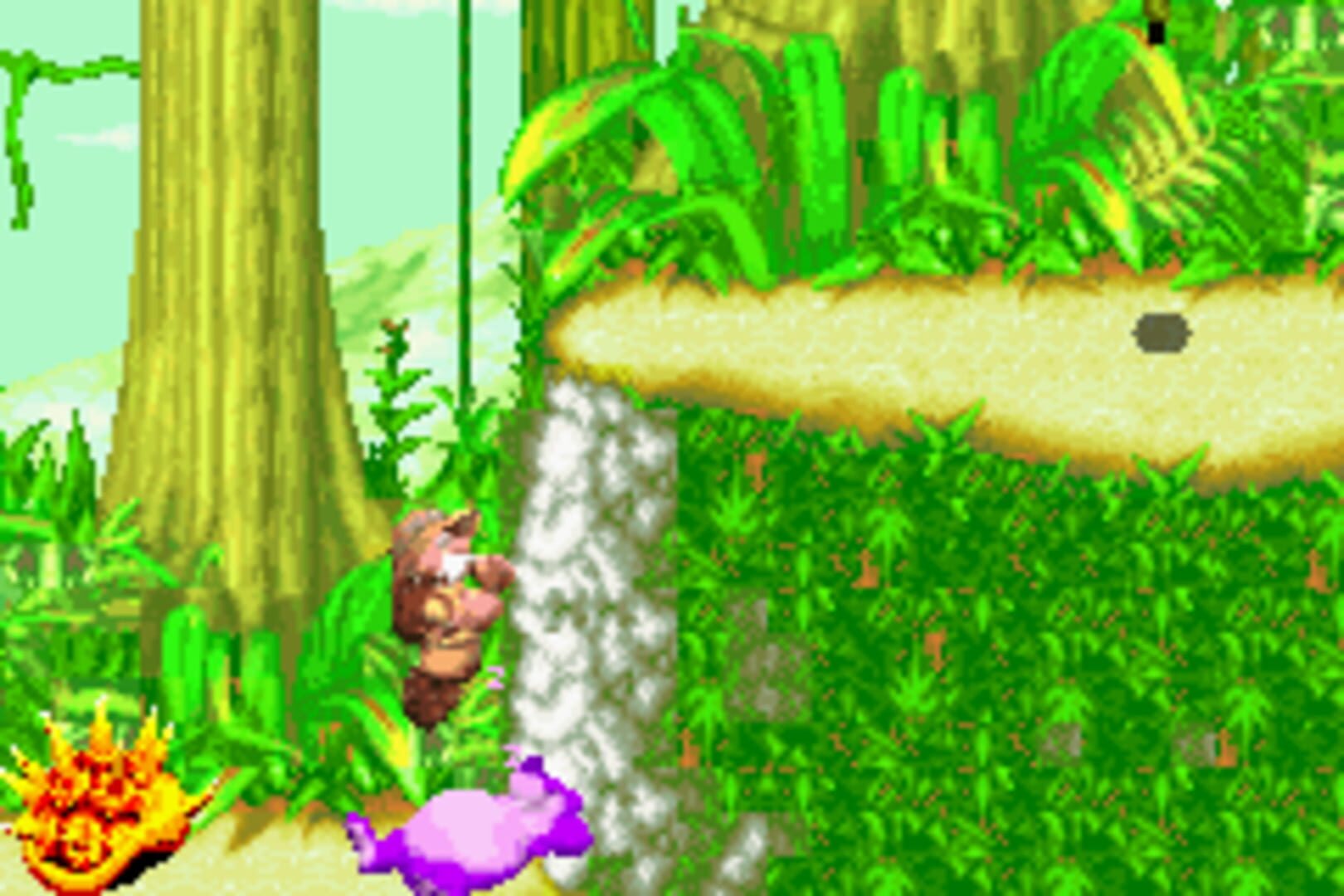 Foto do jogo Sabre Wulf