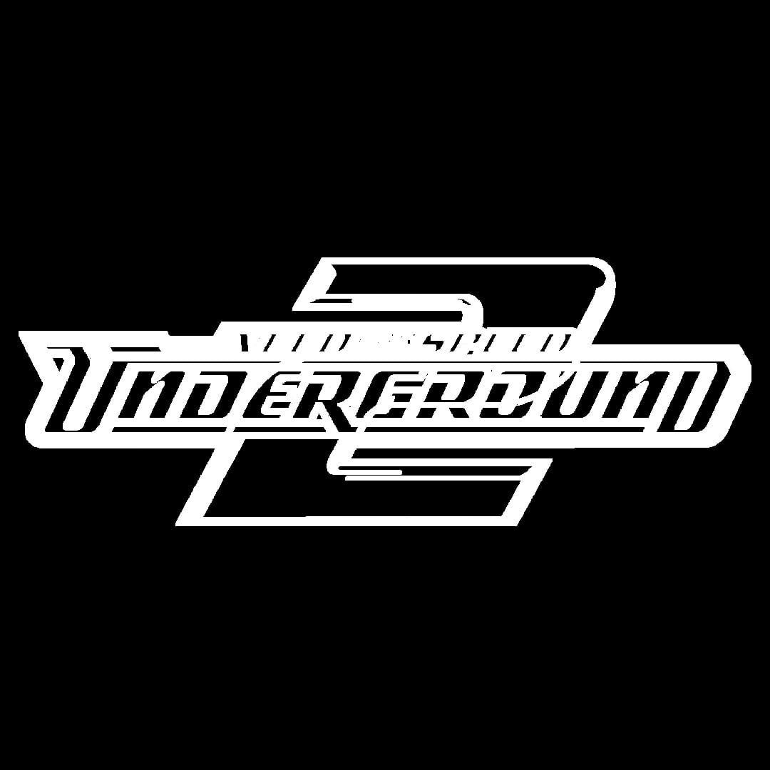 Foto do jogo Need for Speed: Underground 2