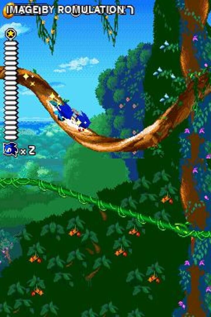 Foto do jogo Sonic Rush