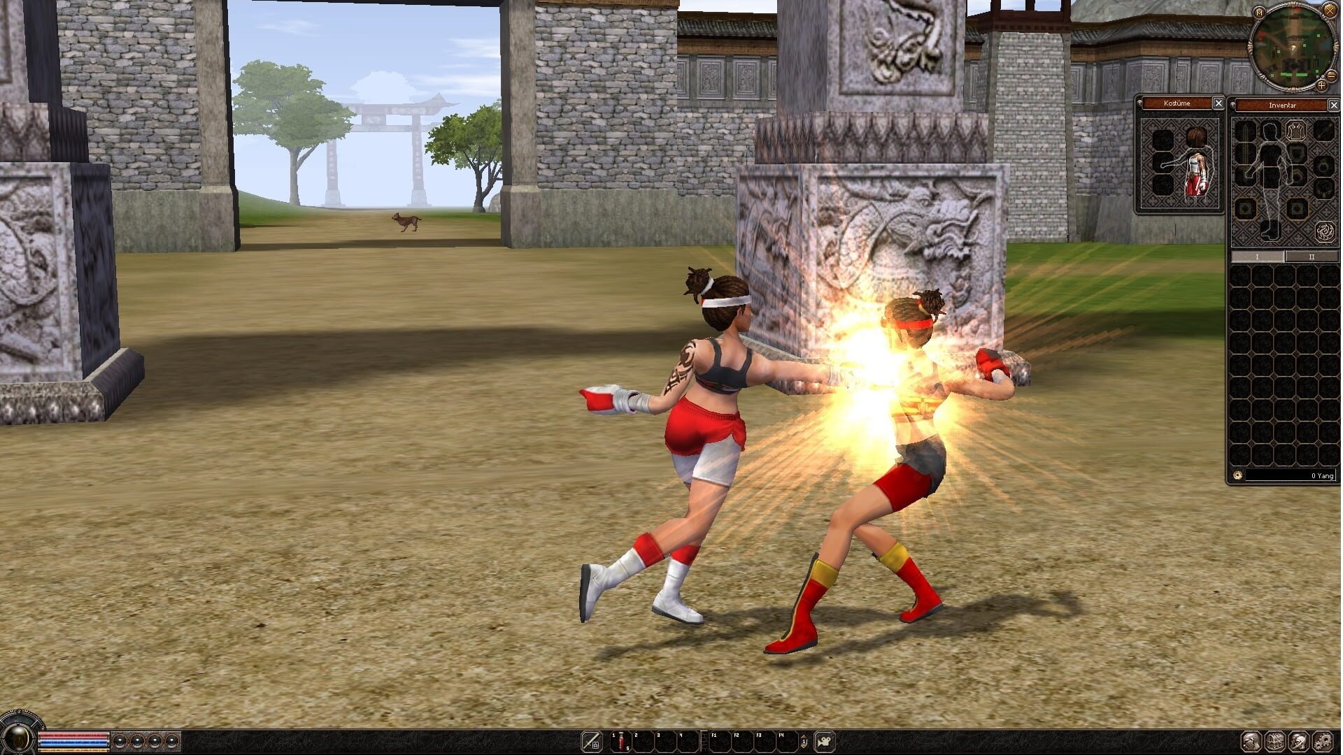 Foto do jogo Metin2